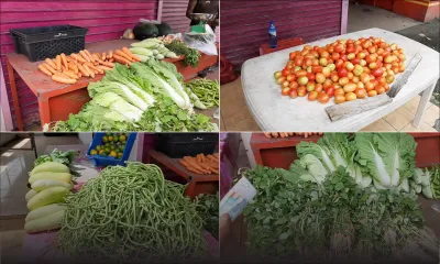 [En images] Le confinement national ne décourage pas la vente de légumes à Lallmatie 