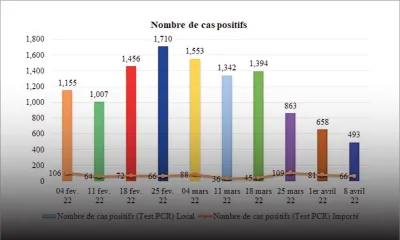 COVID-19 : tendance à la baisse ces dernières semaines