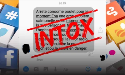 Salmonelle - Diffusion de fausses nouvelles : les internautes exhortés à distinguer l’info de l’intox