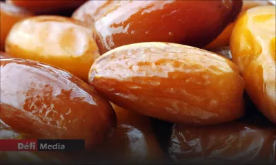 Ramadan : 10 tonnes de dattes attendues dans deux jours