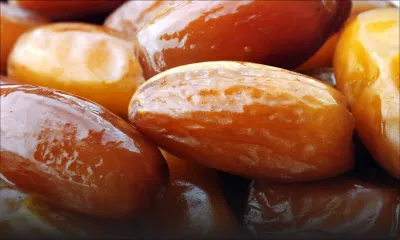 L’Arabie saoudite fait don de 50 tonnes de dattes à Maurice 