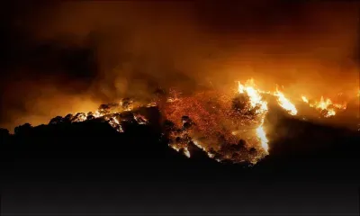 Espagne : 2 000 personnes évacuées en raison d'un violent incendie dans le sud 