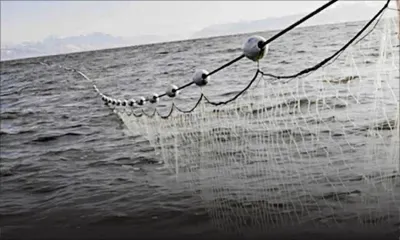 Sable du lagon, filets dérivants, plastique : ces mesures qui dénaturent le combat environnemental