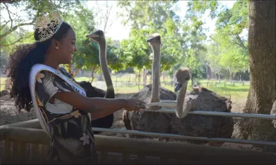 Casela World of Adventures : place à une nouvelle activité