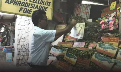 Jay Mootoosamy : un herboriste qui défie le temps