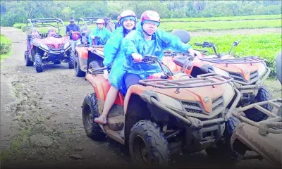 South Quad : une infusion de la nature ! 