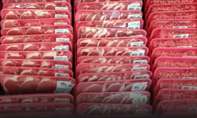 La loi bientôt amendée : aucun permis requis pour l’exportation d’une série de produits