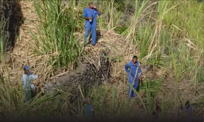 Coupe 2018 : une production de 330 000 tonnes du sucre maintenue