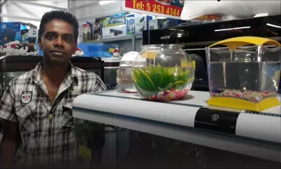 Briz Ramsurrun : un aquariophile qui nage dans le bonheur 