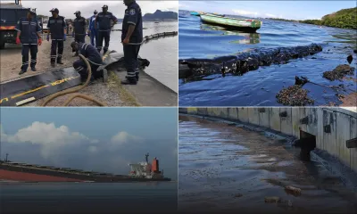Marée noire : les lagons du  Sud-est défigurés