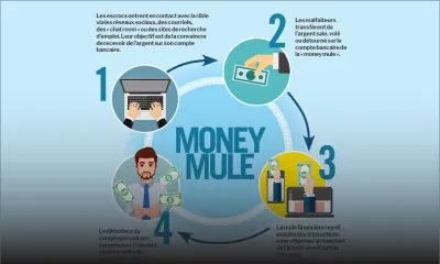 Depuis début 2023 : une trentaine d’arnaques à la cryptomonnaie enregistrées