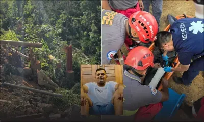Lors d’une opération d’abattage d’arbres à Montagne-Ory : Chris Raumayaa, 28 ans, meurt coincé sous un tronc