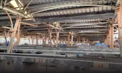 Vols en série : Rs 800 000 de marchandises dérobées aux commerçants de la foire de Flacq