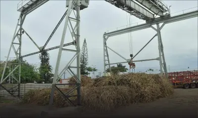 Importante restructuration à Rose-Belle Sugar Estate