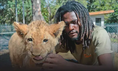 Jason Martin : l’homme qui murmure à l’oreille des lions