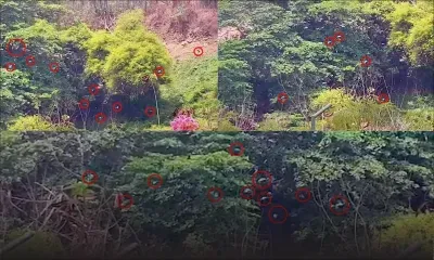 Gorges de GRNO : le bal des chauves-souris en pleine journée