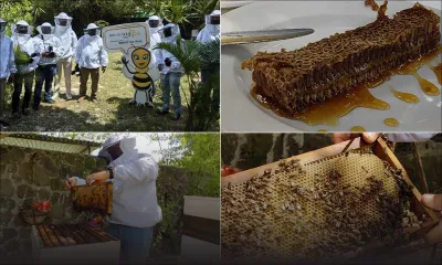 Sentier de la Biodiversité de Long Beach : plongez dans l’univers fascinant du miel issu de plantes locales