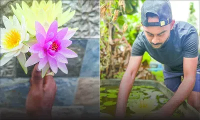 Bhavesh Jhugroo : l’entrepreneur qui fait fleurir les rêves