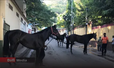Hippisme : Les employés du MTC toujours en attente de leur salaire