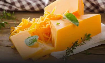 Acheter « malin » - Cheddar : légère baisse de prix pour faire face  à la concurrence