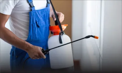 Période de fortes chaleurs : quel coût prévoir pour les services de contrôle et l’éradication des nuisibles ?