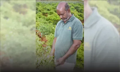 Saïd Bundhoo : producteur de piments