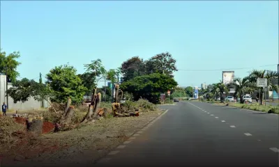 Aménagement paysager : embellissement de l’autoroute de Plaisance à Grand-Baie