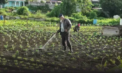 Récession, pénurie d’eau, inflation…Une année jonchée de défis pour les producteurs locaux 