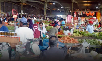 Avec l’arrivée de l’été : les légumes abondent sur les étals