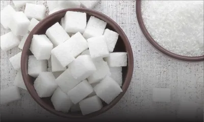 Commerce équitable : Ferrero va acheter le sucre local à un prix préférentiel