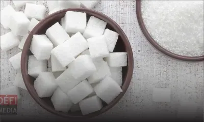 La fin du quota sucre affecte les pays ACP