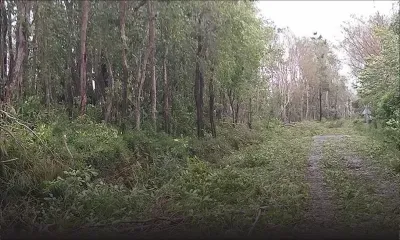 Cyclone Gelena : l'alerte cyclonique levée ; 139 personnes dans les centres de refuge