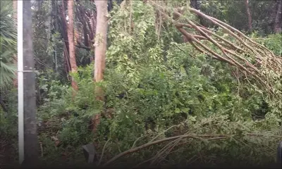 Rodrigues : les premiers dégâts sont importants après le passage du cyclone tropical intense Joaninha