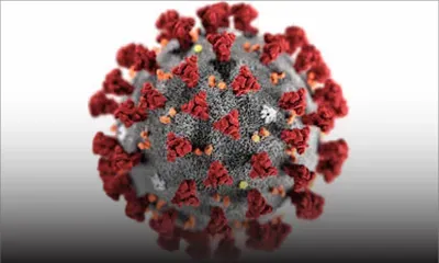 Coronavirus : l’OMS organise un forum pour préparer la riposte