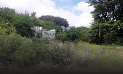 Campagne nationale de nettoyage : les propriétaires de terrains en friche à la traque