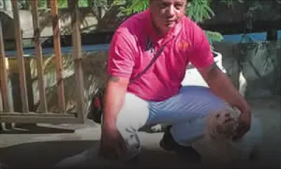 Jean-Paul Jasmin: un menuisier-ébéniste passionné