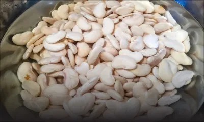 Importations de la STC : pas de prix préférentiel pour les gros pois