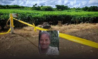 À Bois-Chéri : Anila Khadoo sauvagement assassinée dans un champ de thé