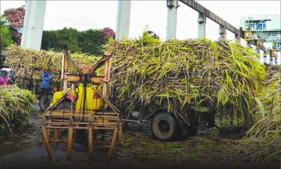 Industrie sucrière: la coupe démarre le 23 mai sur fond d’optimisme