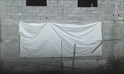 À Port-Louis : l’élevage de poulets dérange