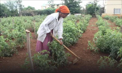 Secteur Agricole : pas de mesures concrètes pour relancer l’agriculture