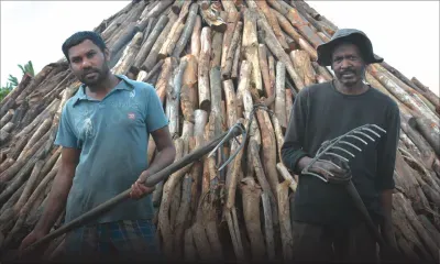 Charbonnier : Un métier tout feu, tout bois