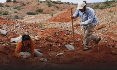 [En images] Découverte d'un dinosaure géant vieux de plus de 200 millions d'années