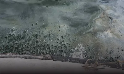 Pollution des lagons de l’Est et du Sud-est : la marée noire prend le large