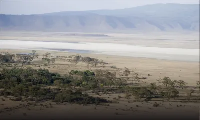 Sucre - Tanzanie : négociations mauriciennes pour un terrain de 25 000 hectares