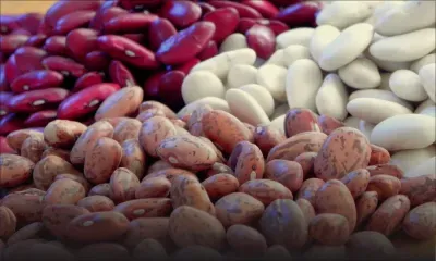 Lentilles plus chères; gros pois et dholl moins chers