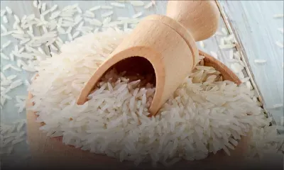 Riz basmati: la compétition fait chuter les prix