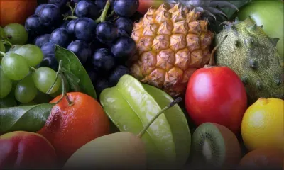 Fruits locaux: chauves-souris, mauvais climat et maladie plombent la récolte