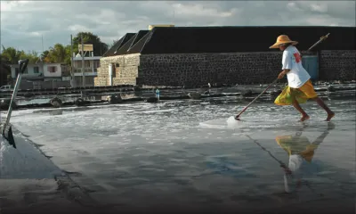 Les salines de Tamarin: 33 employés contestent leur limogeage