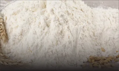 Bilans financiers trimestriels - LMLC : la farine fait chuter les recettes